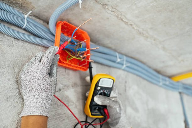 Best Electric Panel Repair  in Fort Loramie, OH